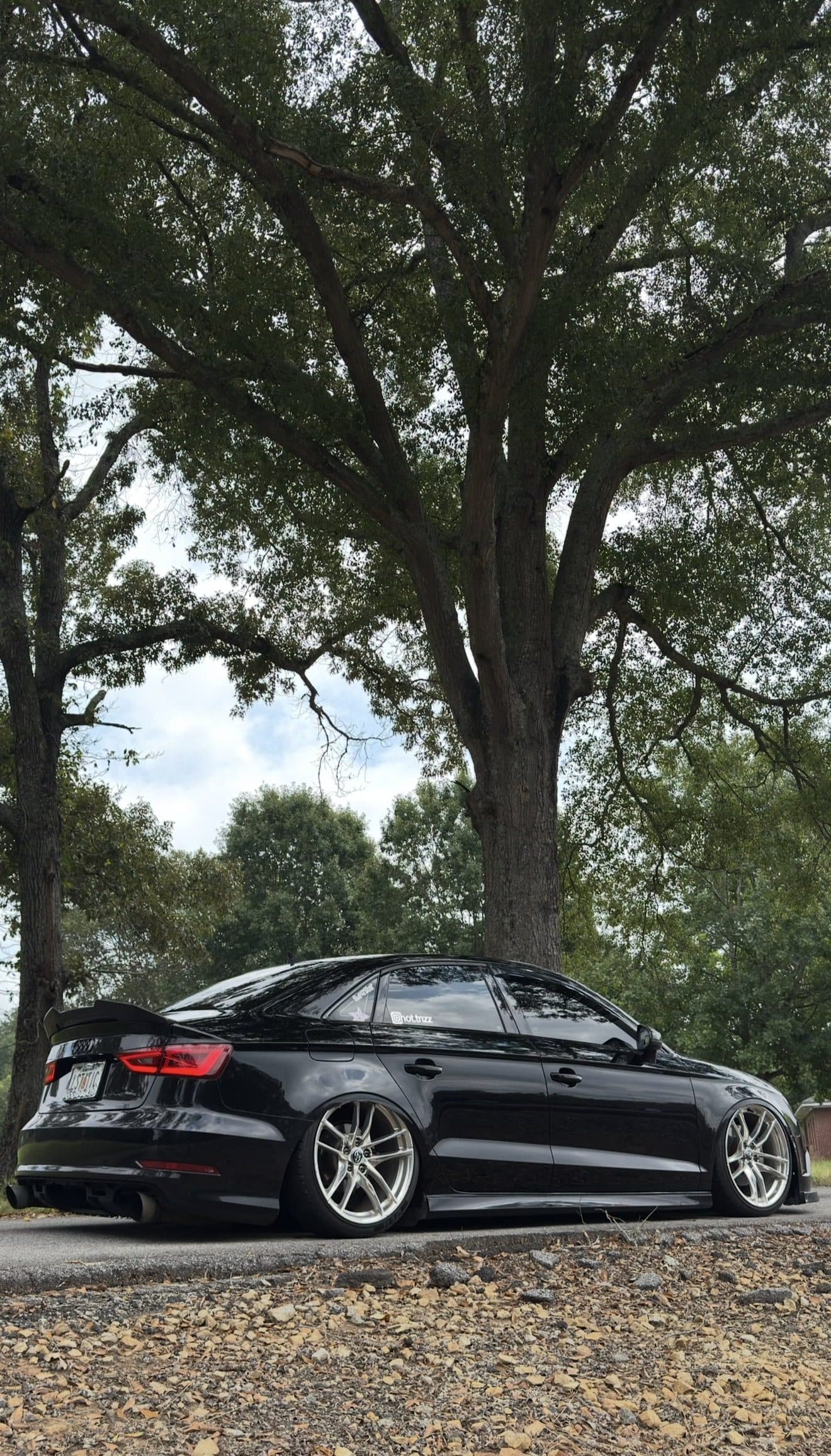 Rear view of Tristan's black Audi A3 under a large oak tree